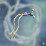 Phosphatidylcholine